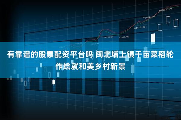 有靠谱的股票配资平台吗 闽北埔上镇千亩菜稻轮作绘就和美乡村新景